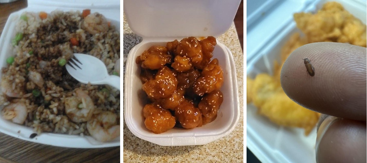 Chicken & Fried Rice