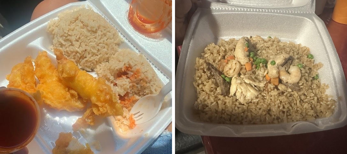 Chicken & Fried Rice